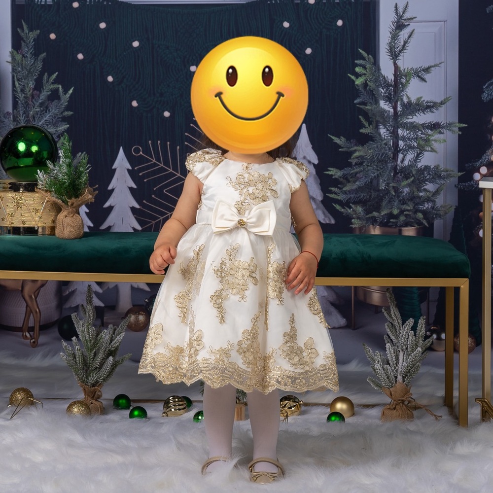 Holiday/Special Occasion - Rare Editions dress 24M& Sugar shoes - Picture 1 of 15